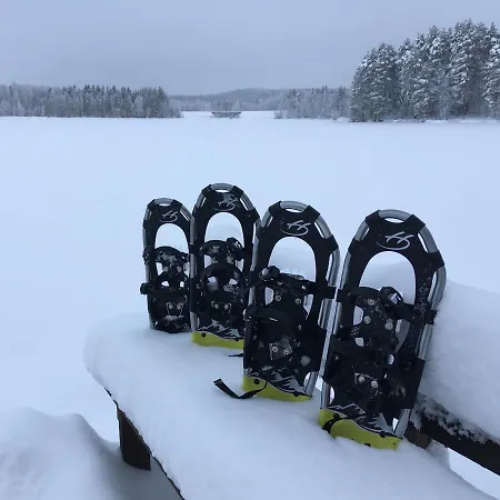 Pihlajaniemi *